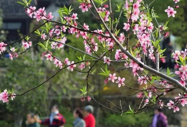 太阳成集团tyc7111cc