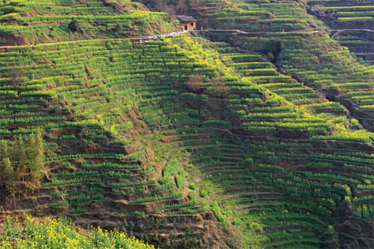 重磅!兰州部分地区放开限购:太阳成集团tyc7111cc(图1) 太阳成集团tyc7111cc