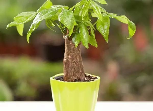 太阳成集团tyc7111cc