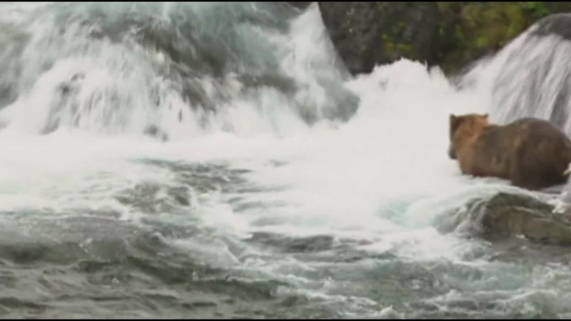 太阳成集团tyc7111cc