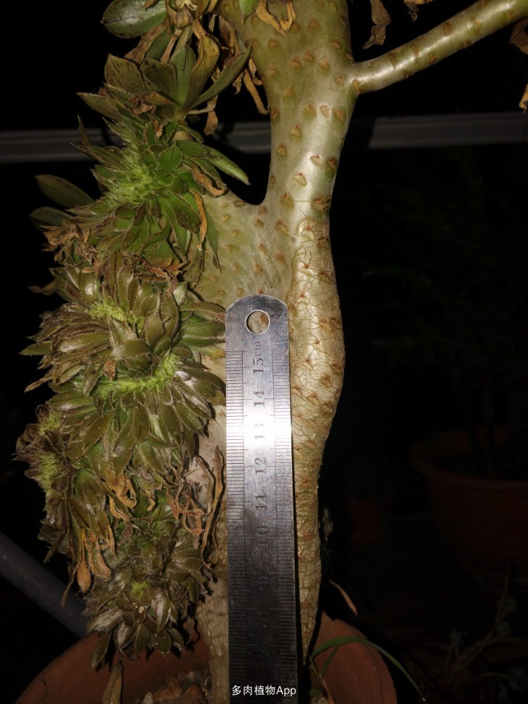 太阳成集团tyc7111cc