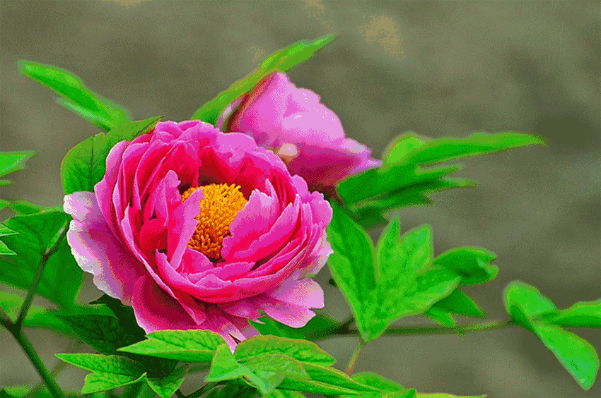 太阳成集团tyc7111cc