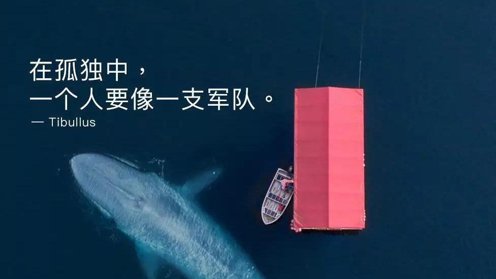 太阳成集团tyc7111cc