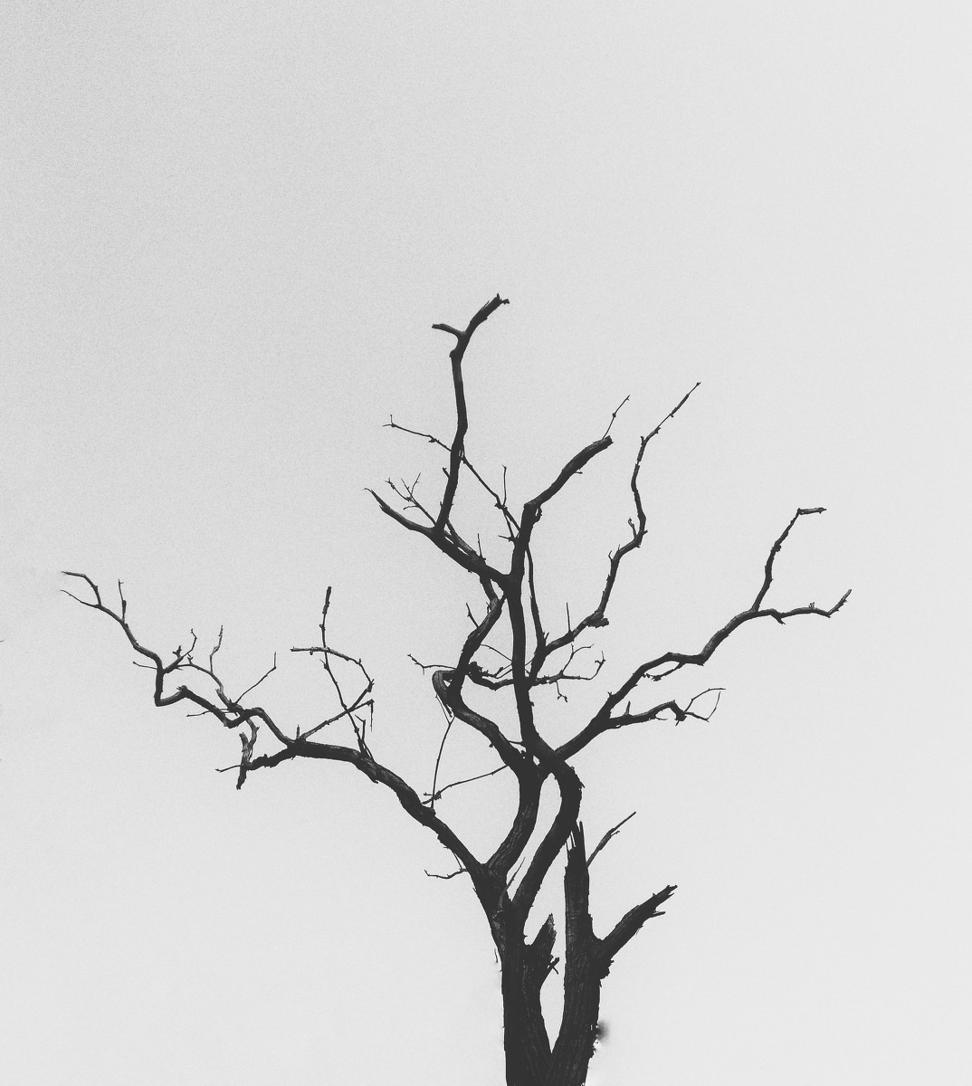 太阳成集团tyc7111cc