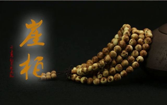 太阳成集团tyc7111cc