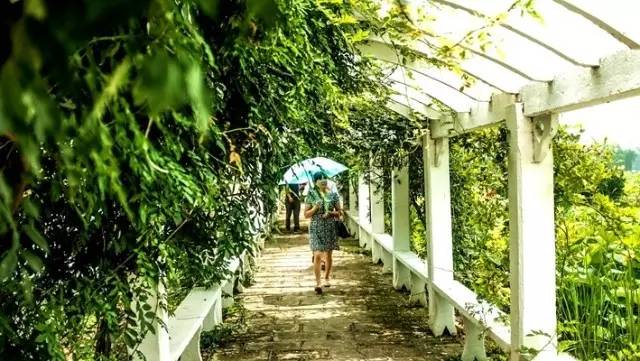 太阳成集团tyc7111cc