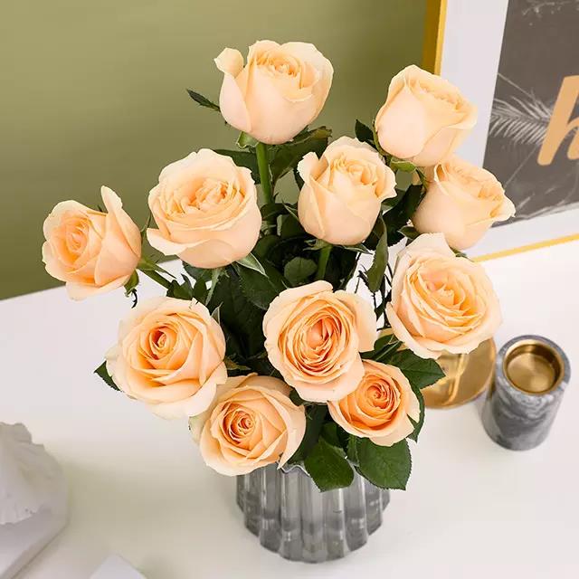 太阳成集团tyc7111cc