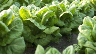 ‘太阳成集团tyc7111cc’首创股份:预计2019年归属上市公司股东净利润增加2.16-2.88亿元(图2) 太阳成集团tyc7111cc