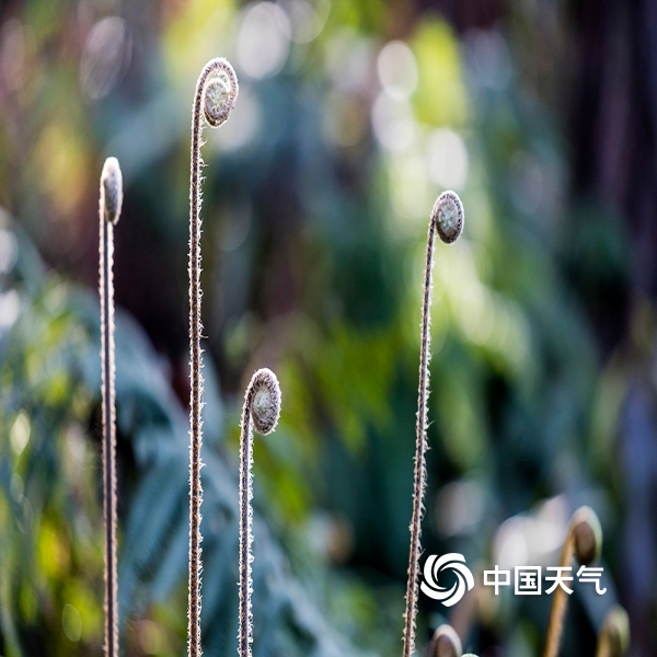 太阳成集团tyc7111cc