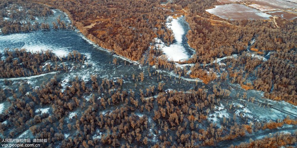 太阳成集团tyc7111cc