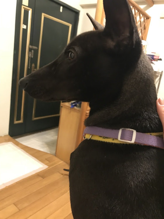 太阳成集团tyc7111cc