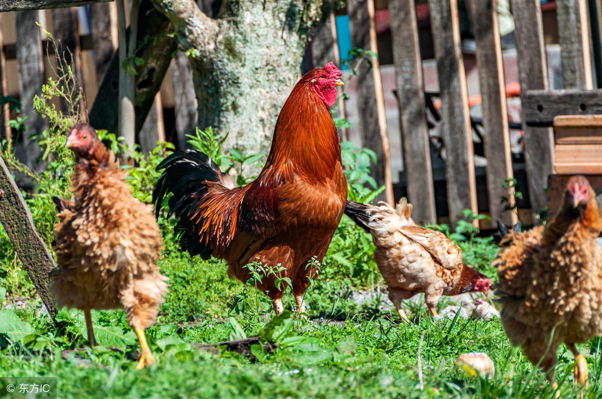 太阳成集团tyc7111cc