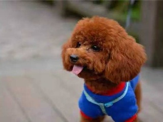 太阳成集团tyc7111cc