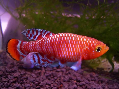 太阳成集团tyc7111cc