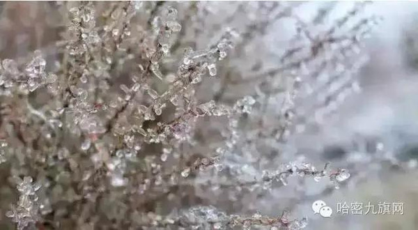 不动产登记信息实现网上查询-太阳成集团tyc7111cc(图4) 太阳成集团tyc7111cc